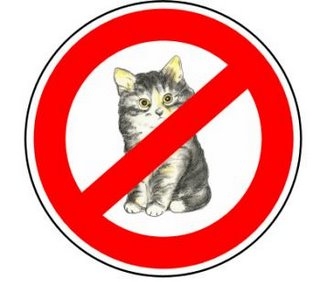 no phodse